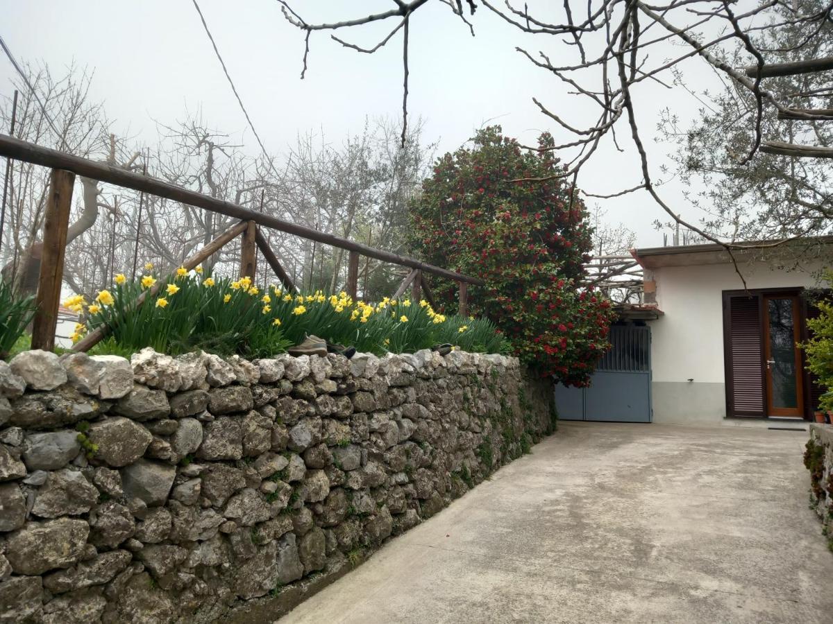 Mon Reve Apartment Agerola Exterior photo